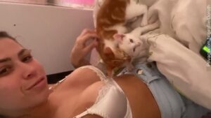 Mc Pipokinha video suposta zoofilia com gatos vazou video porno de sexo amador caseiro